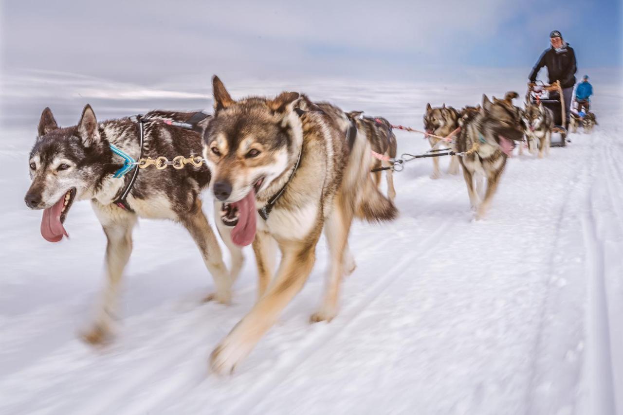Harriniva Adventure Resort Muonio Dış mekan fotoğraf