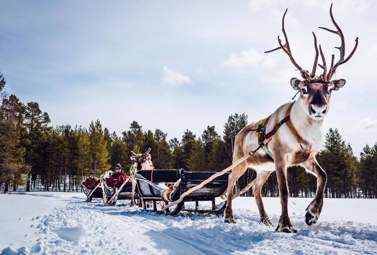 Harriniva Adventure Resort Muonio Dış mekan fotoğraf
