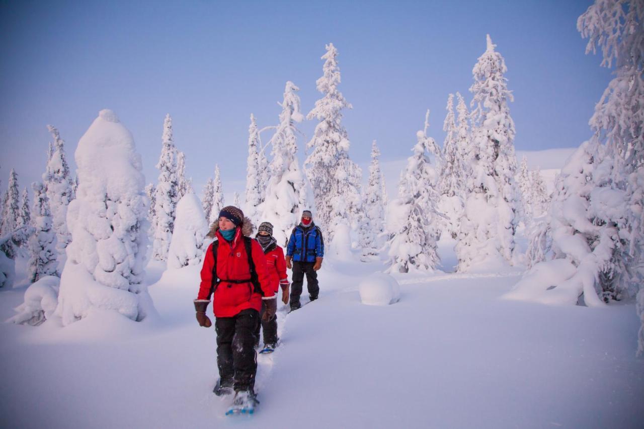 Harriniva Adventure Resort Muonio Dış mekan fotoğraf