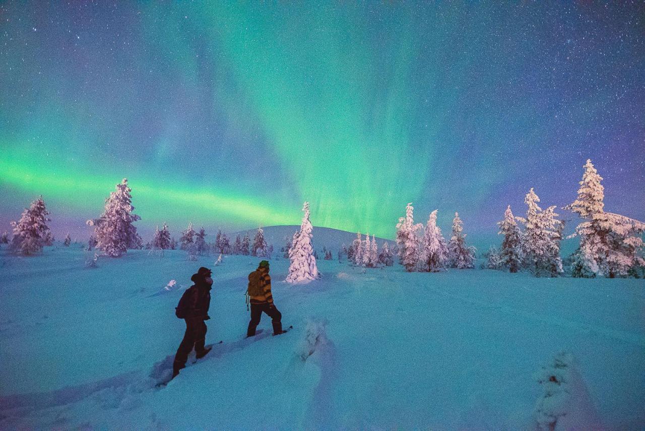 Harriniva Adventure Resort Muonio Dış mekan fotoğraf