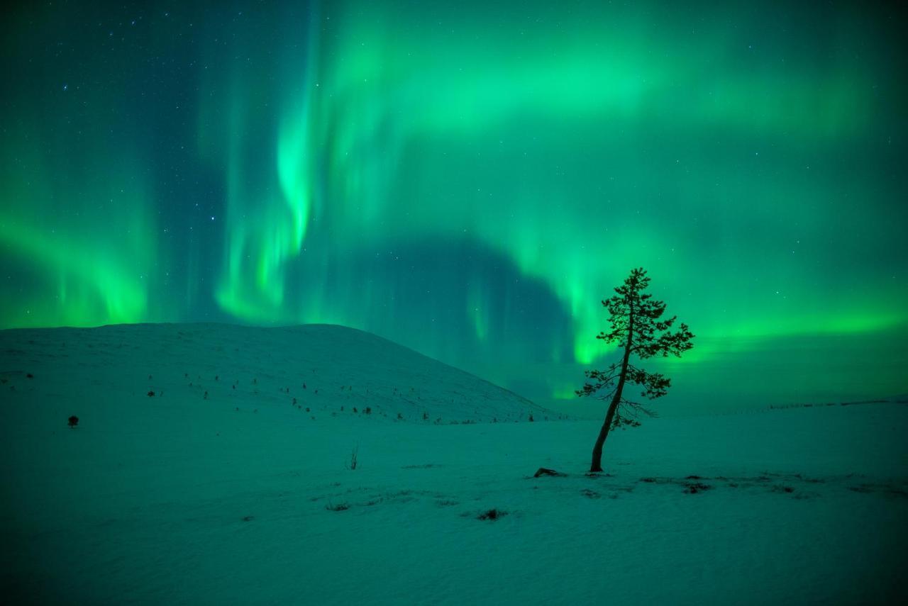 Harriniva Adventure Resort Muonio Dış mekan fotoğraf